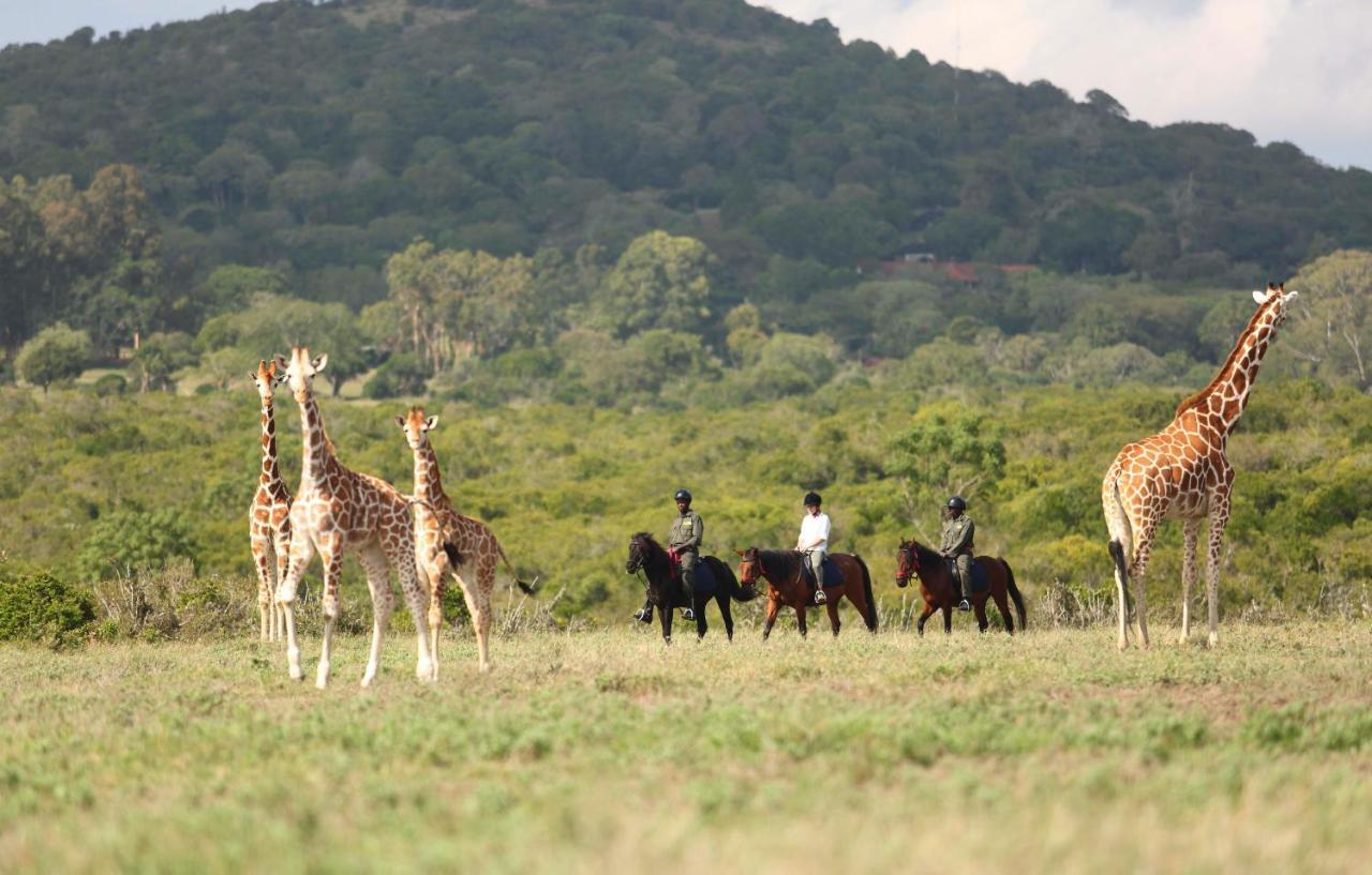 Hotel The Aberdare Country Club Mweiga Esterno foto