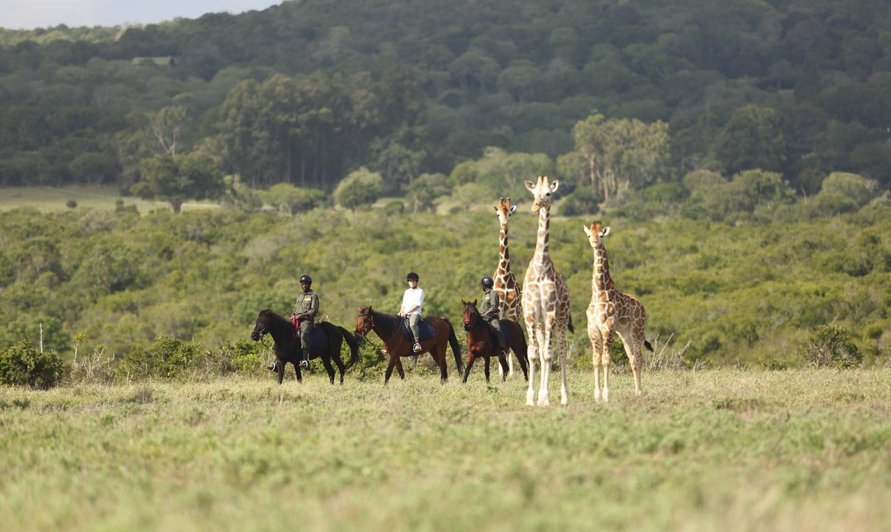 Hotel The Aberdare Country Club Mweiga Esterno foto