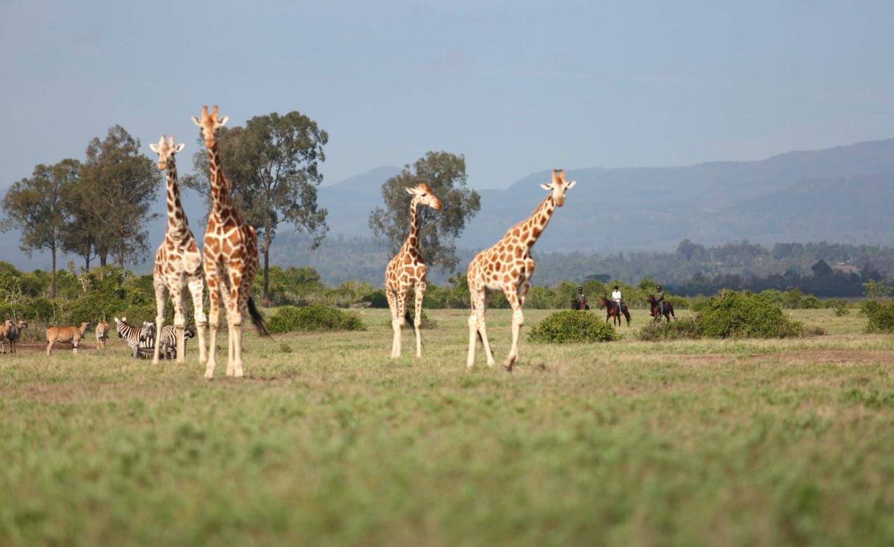 Hotel The Aberdare Country Club Mweiga Esterno foto