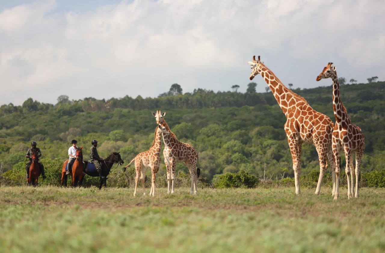 Hotel The Aberdare Country Club Mweiga Esterno foto