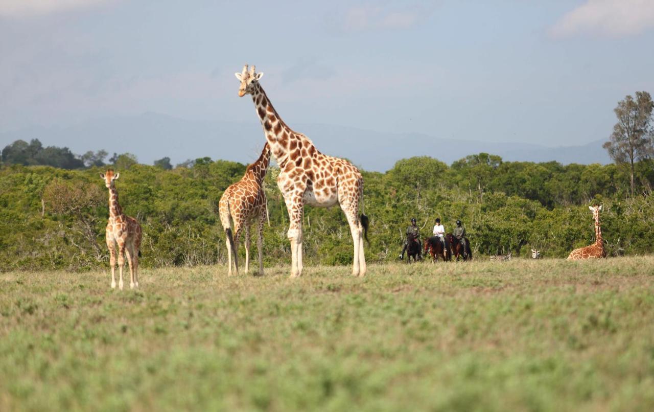 Hotel The Aberdare Country Club Mweiga Esterno foto