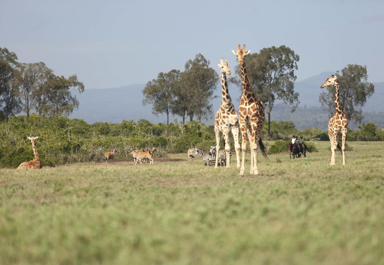 Hotel The Aberdare Country Club Mweiga Esterno foto