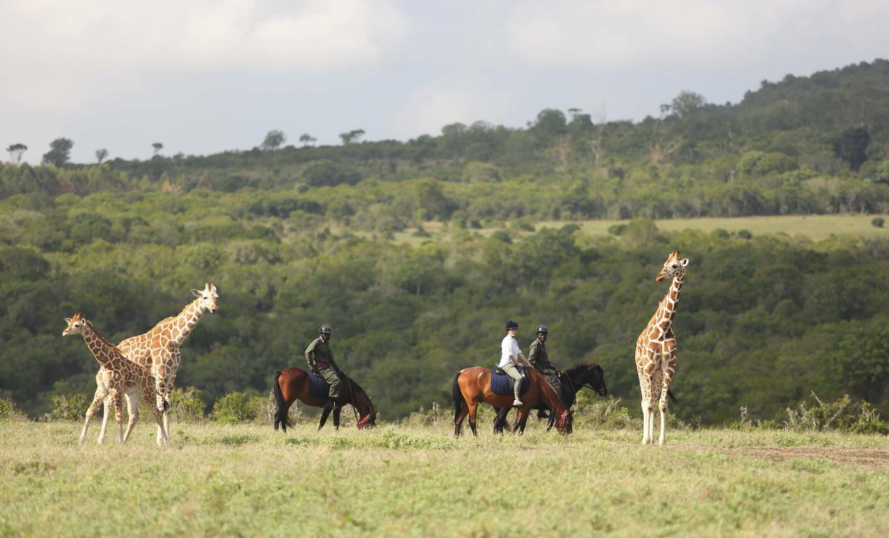 Hotel The Aberdare Country Club Mweiga Esterno foto