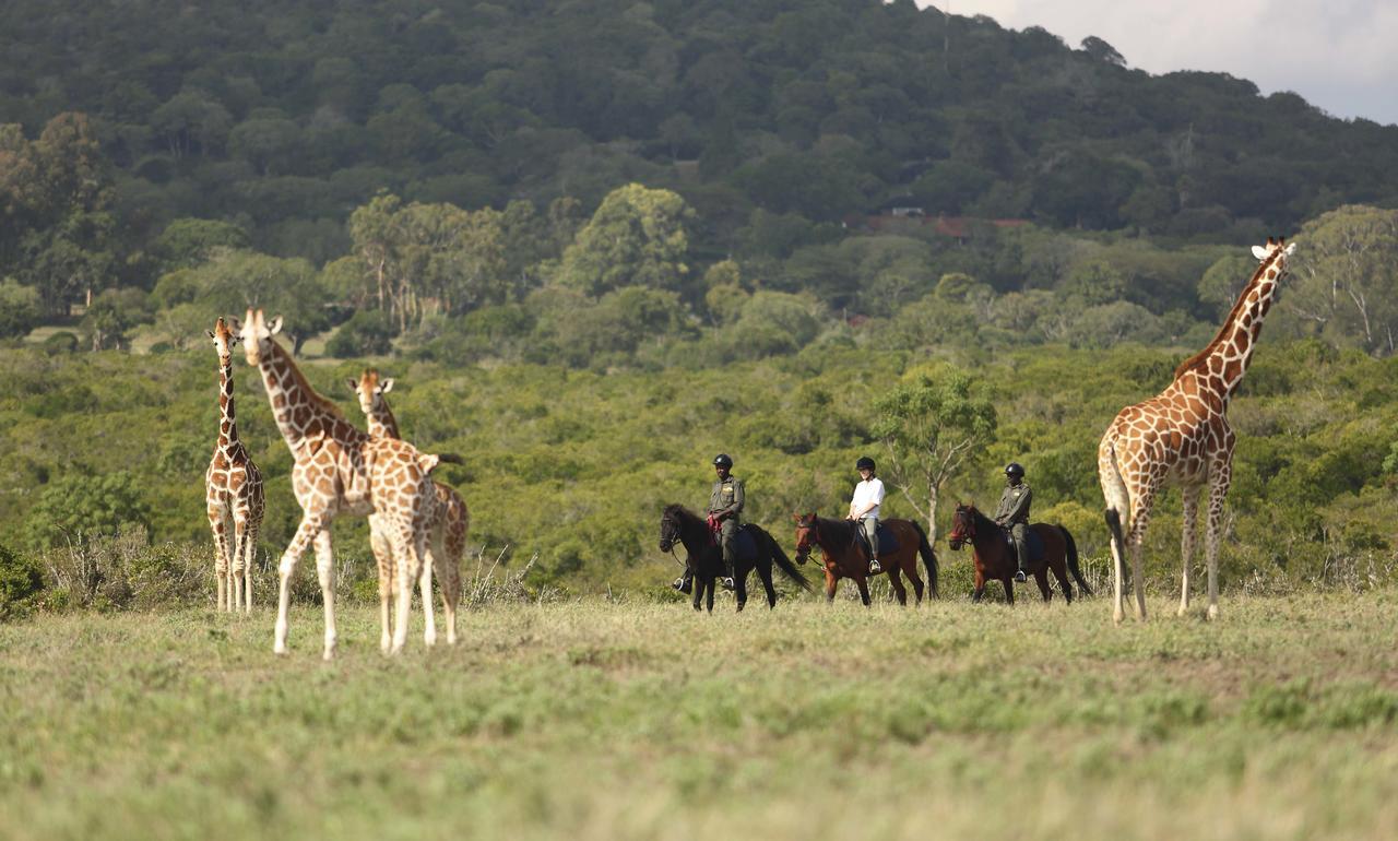 Hotel The Aberdare Country Club Mweiga Esterno foto
